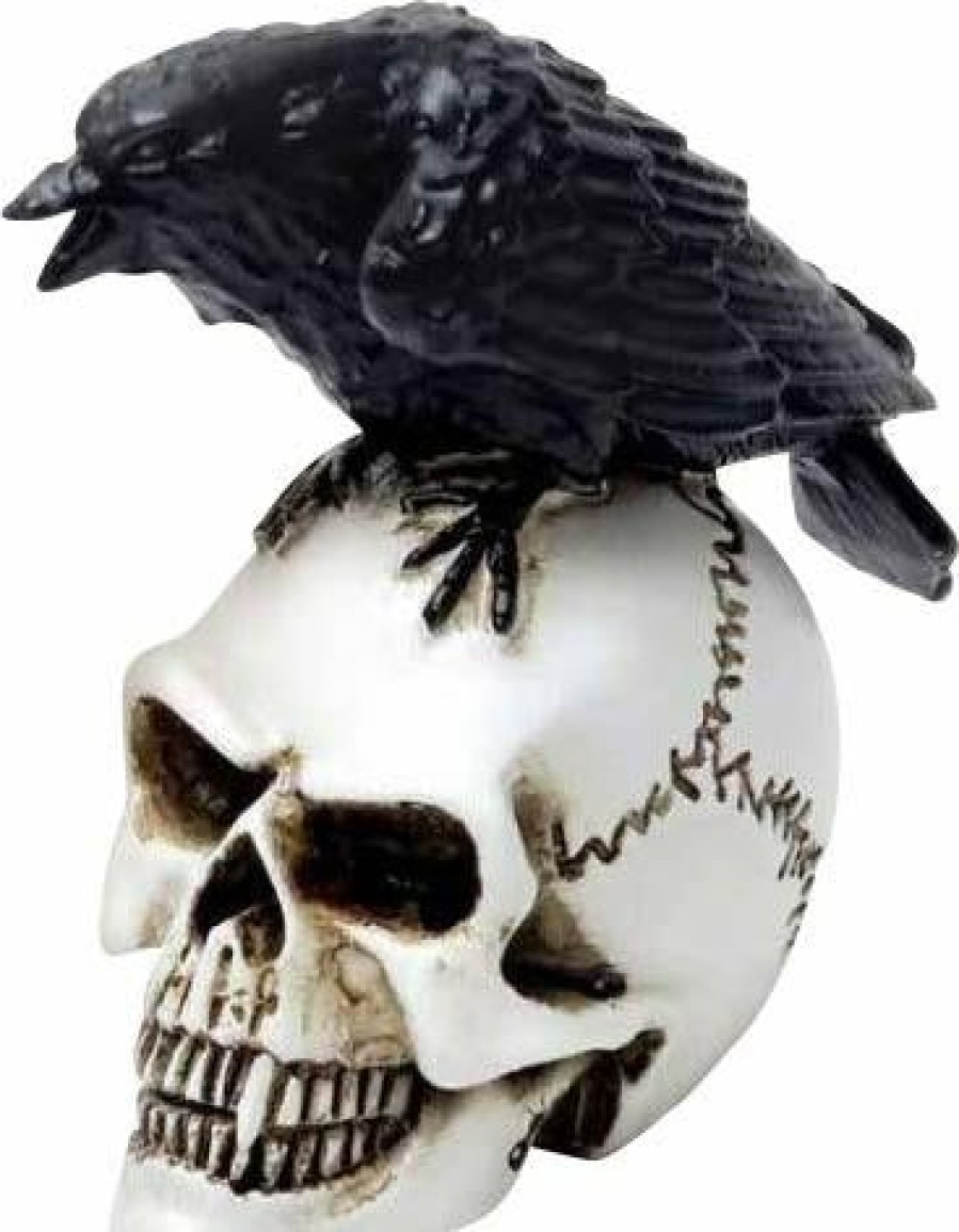 Homewares * | New Alchemy Gothic Gothic Homewares Raven Skull | Miniature