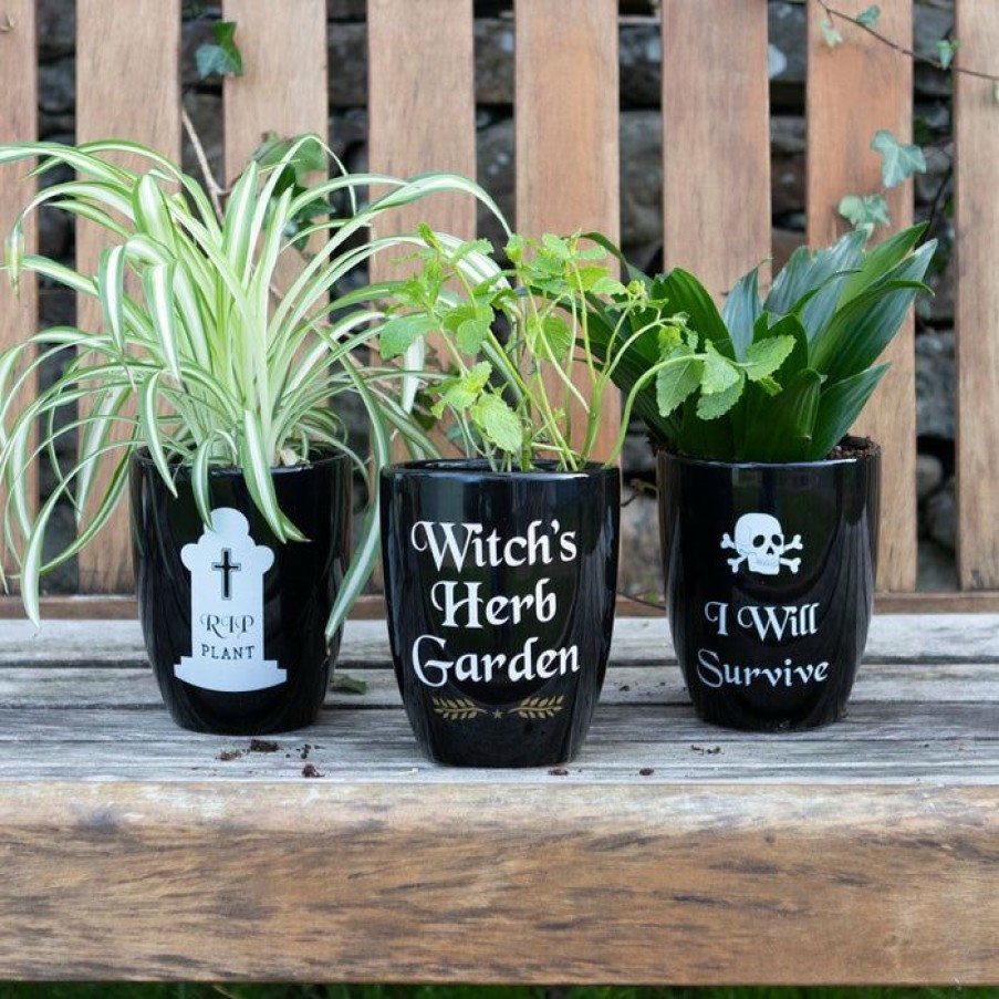 Homewares * | Promo Gothic Gifts Gothic Homewares I Will Survive | Gothic Plant Pot