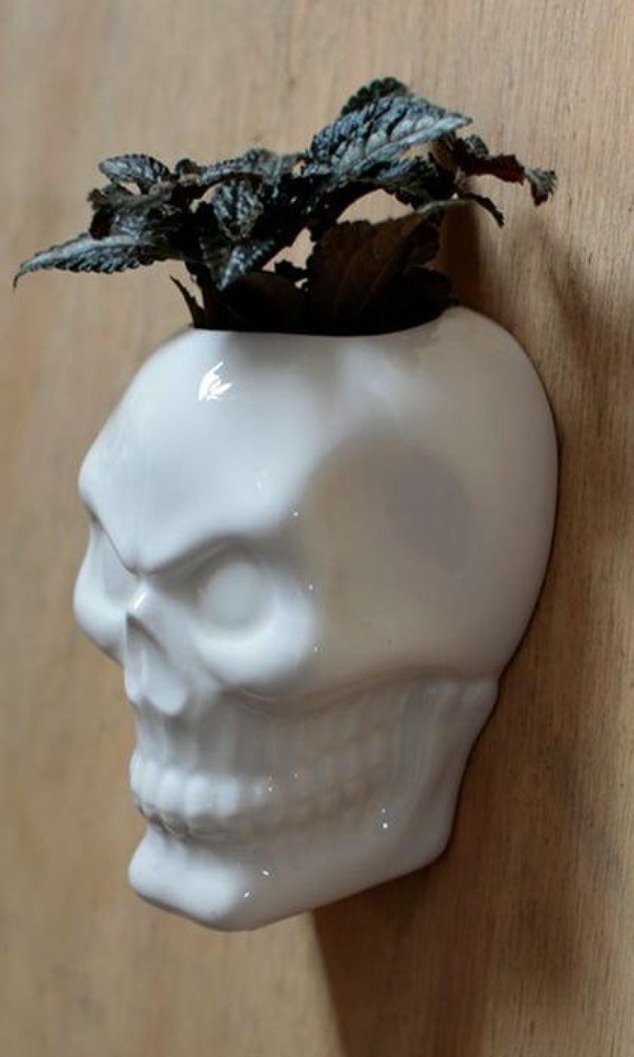 Homewares * | Outlet Homewares Gothic Homewares Ceramic Skull Garden | Wall Planter