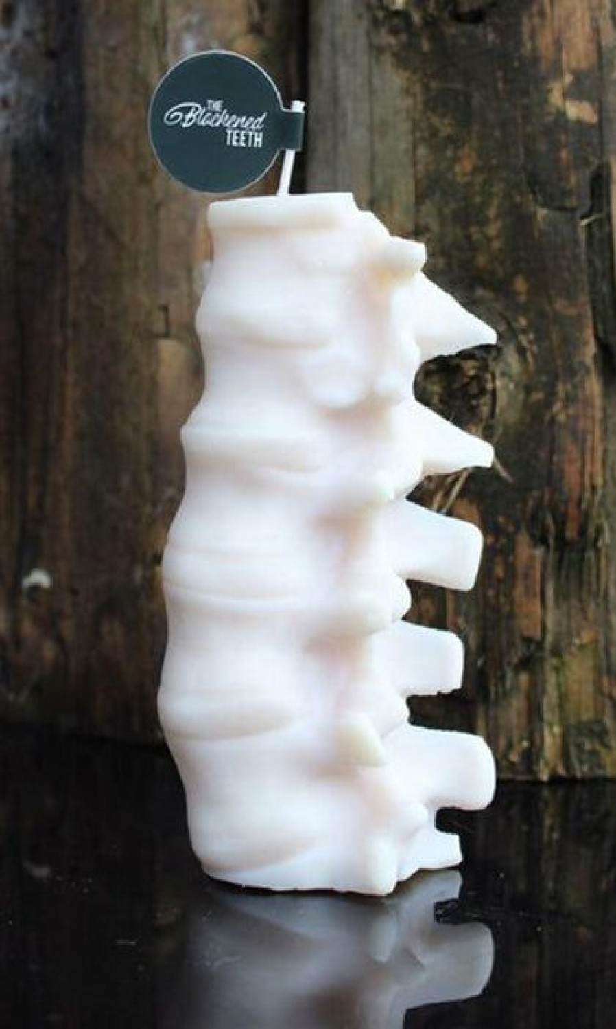 Homewares * | Brand New The Blackened Teeth Gothic Homewares Spine [Ivory] | Scented Candle