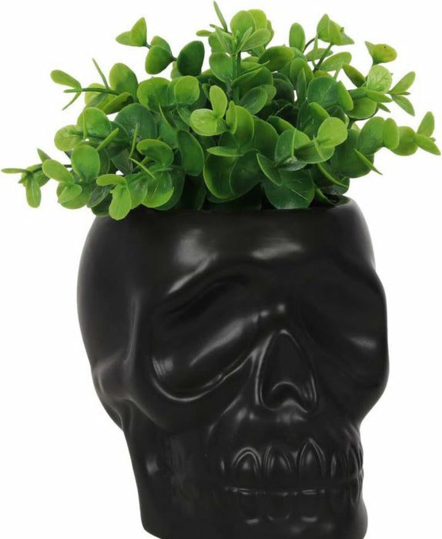 Homewares * | Hot Sale Gothic Gifts Gothic Homewares Black Skull | Plant Pot