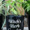 Accessories * | Promo Gothic Gifts All Witch'S Herb | Garden Plant Pot