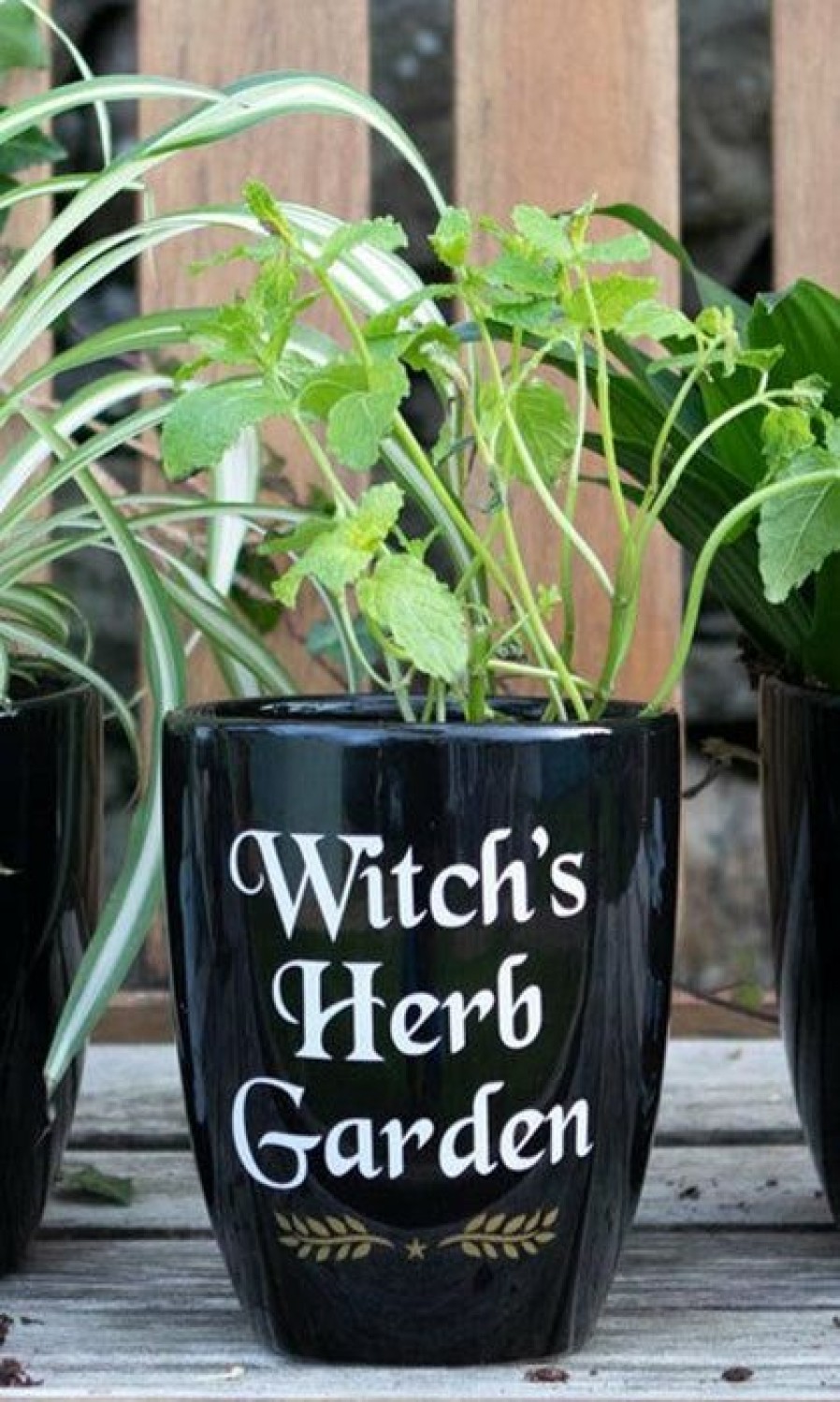 Accessories * | Promo Gothic Gifts All Witch'S Herb | Garden Plant Pot