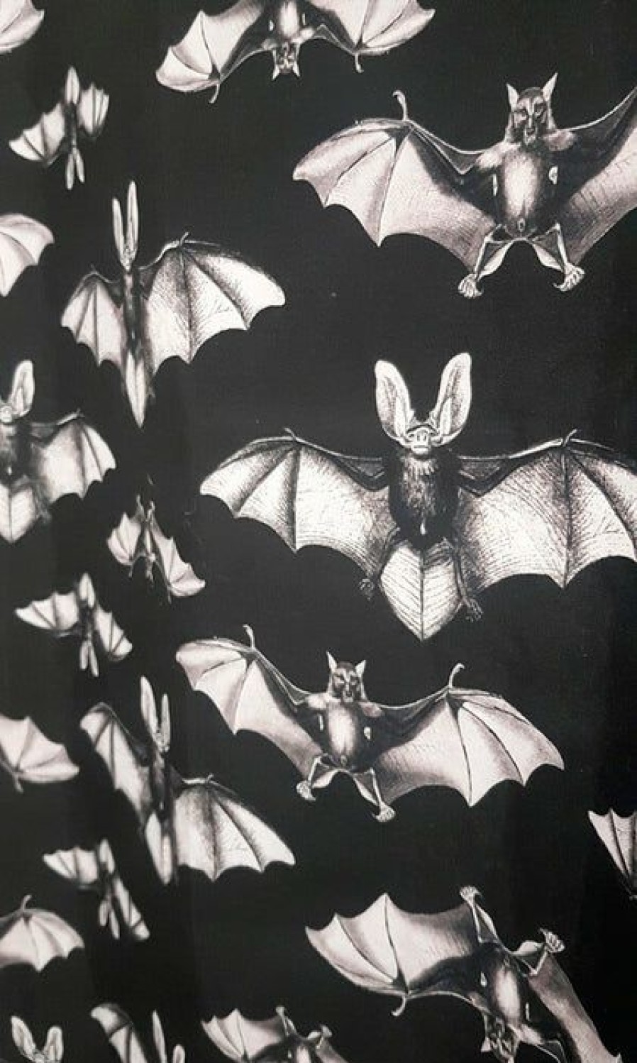 Styles * | Coupon Hells Blankets Bats Midnight Flight | Curtain